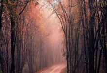 辉达娱乐官网：里皮昔日强硬一幕：感谢艾克森5场9球？他该感谢我！进球他是本分.