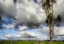 辉达娱乐官网：记者：今日国安一线队训练，来自国安六个年龄段的教练组现场观摩.