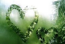 首次登陆北京，这场国际网球赛即将在昌平举行.