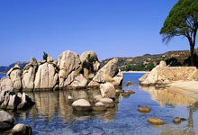 荷兰国家队次点球大战输掉次，近次全败.